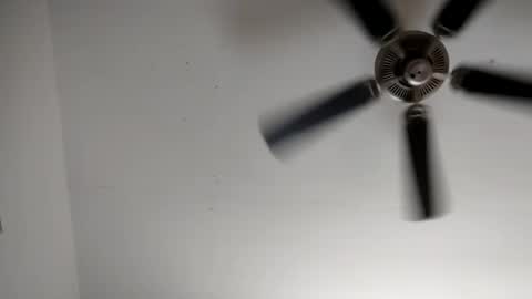 luv to cum online show from 6, 3, 2026