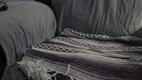 Snapshot of 1badboy360 chatting on 9, 12, 2024 1badboy360 online show from 9, 12, 2024