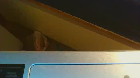 Jason online show from 15, 12, 2024