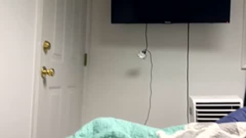 20yrold2001 online show from 17, 3, 2026