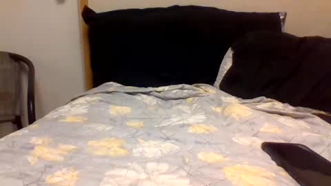 Snapshot of 2ccjbstar chatting on 22, 12, 2024 BlacJewels online show from 22, 12, 2024