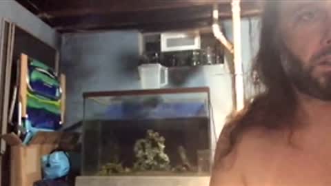 33adidas online show from 26, 11, 2025