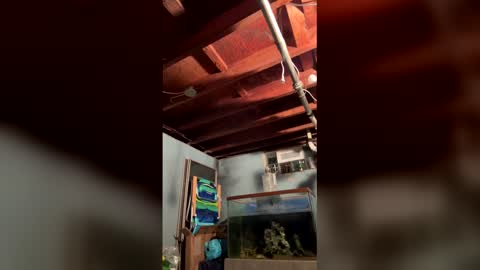 33adidas online show from 27, 3, 2026