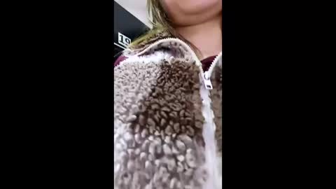 3X NAXAA online show from 22, 3, 2026