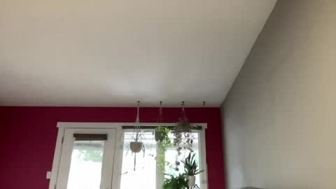 Snapshot of 420kc_couple chatting on 18, 10, 2025 KC420Couple online show from 18, 10, 2025