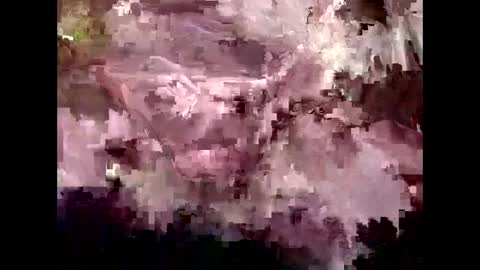 Snapshot of 4kbrandon2fck chatting on 30, 1, 2025 Kyle Brandon online show from 30, 1, 2025