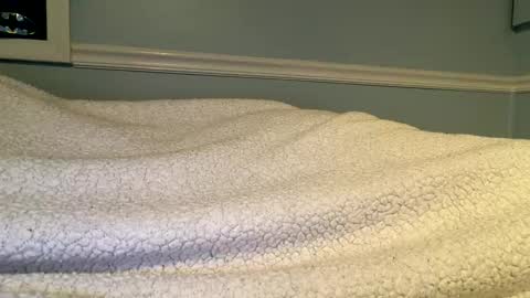 56nicecock35 online show from 8, 3, 2026