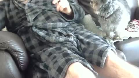 66bear online show from 25, 12, 2024