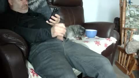 66bear online show from 31, 10, 2025