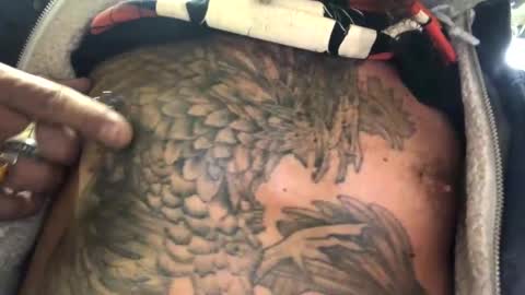 6990fiko online show from 2, 3, 2025