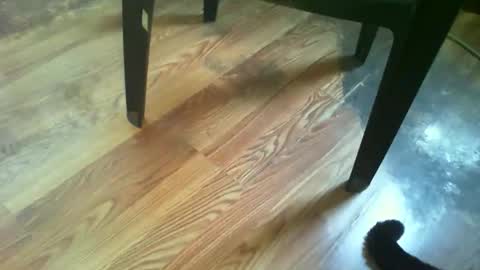 Snapshot of 69forever453443 chatting on 14, 11, 2025 69forever453443 online show from 14, 11, 2025