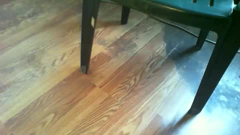 Snapshot of 69forever453443 chatting on 19, 11, 2025 69forever453443 online show from 19, 11, 2025