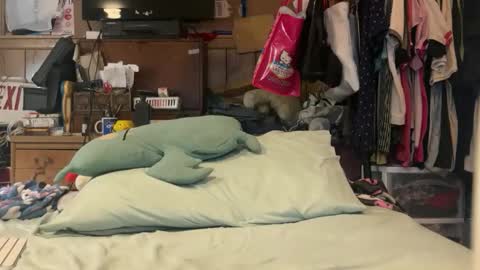 FUCKR online show from 17, 3, 2026