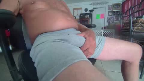 86406stud online show from 15, 4, 2026