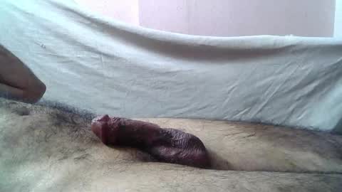 Massive hungry cock online show from 16, 5, 2026