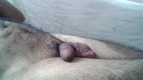 Massive hungry cock online show from 5, 7, 2026