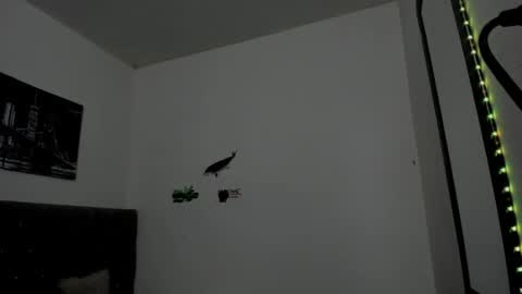 DERECK online show from 15, 4, 2026