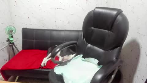     ----       online show from 7, 3, 2026