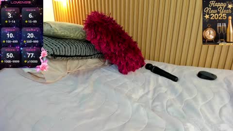 Snapshot of _anavictoria_ chatting on 28, 12, 2024 Ana Victoria online show from 28, 12, 2024