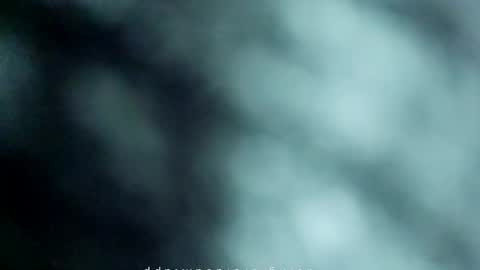 _black_horse_1 online show from 15, 5, 2026