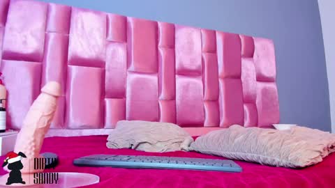 Snapshot of _dirty_sandy_ chatting on 17, 12, 2024 SANDY online show from 17, 12, 2024