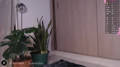 Jenn  online show from 17, 2, 2026