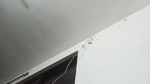 _iluvatar_ online show from 26, 2, 2026