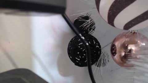 Snapshot of _kat_sweet chatting on 2, 12, 2025 Cata online show from 2, 12, 2025