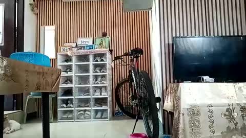 Kylie online show from 11, 9, 2025