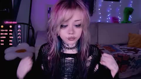 Lolly online show from 14, 12, 2025