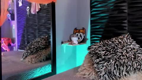 Snapshot of _lustyles_ chatting on 31, 10, 2025 _lustyles_ online show from 31, 10, 2025