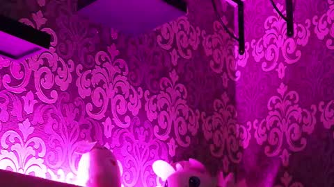 Snapshot of _made_in_hell_ chatting on 23, 2, 2025 Stream  at  am in MoscowI am waiting for you very much3 online show from 23, 2, 2025