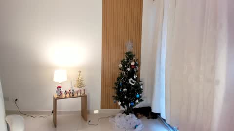 Sam   --- next stream 1 dic  food and vino show . online show from 28, 12, 2024