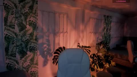 _sharlotte777 online show from 13, 2, 2026