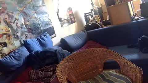 Sven online show from 3, 10, 2025