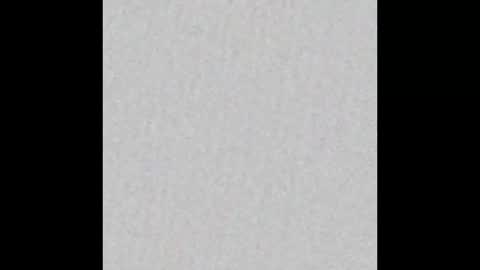 _tammarra_ online show from 15, 11, 2025