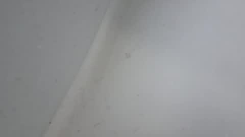 Snapshot of a7469 chatting on 18, 1, 2026 XXL online show from 18, 1, 2026