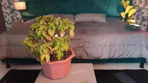 Aaron Ezequiel online show from 31, 1, 2026