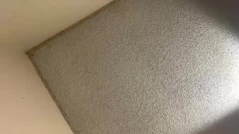 Snapshot of aaroncencal chatting on 17, 2, 2025 aaroncencal online show from 17, 2, 2025