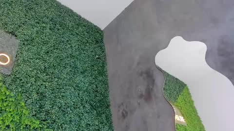 A B B Y online show from 12, 2, 2025