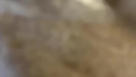 Snapshot of abbyjacksonn_ chatting on 3, 12, 2024 ABBY online show from 3, 12, 2024