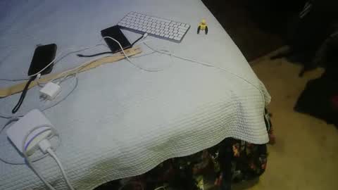 aCACiAs2022 online show from 16, 3, 2026