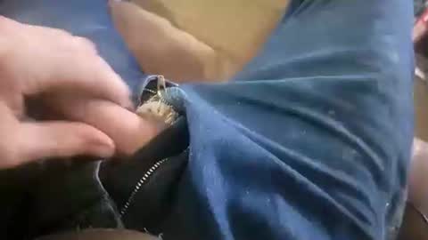 Snapshot of acemcdade chatting on 19, 1, 2025 Ace online show from 19, 1, 2025