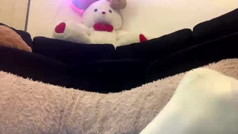 ENIGMA TZX5114 online show from 18, 2, 2025