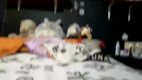 adam and abby online show from 28, 2, 2025