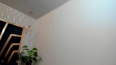 adbel sady online show from 20, 1, 2025