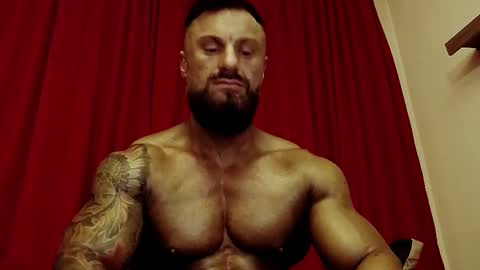 Adonis online show from 26, 2, 2026