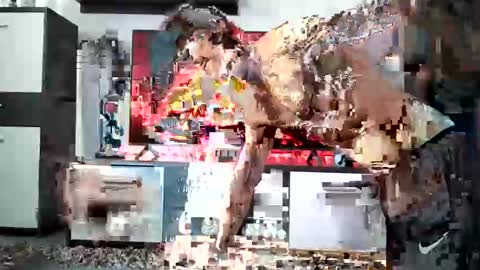 Adriano online show from 28, 12, 2024