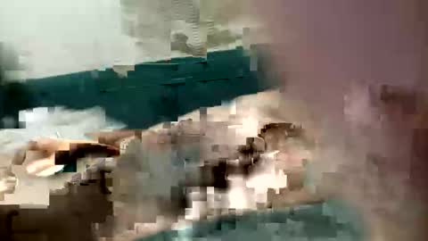 adrodiarellano online show from 13, 10, 2025