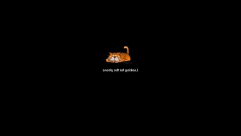 affectionateessay627 online show from 20, 2, 2025